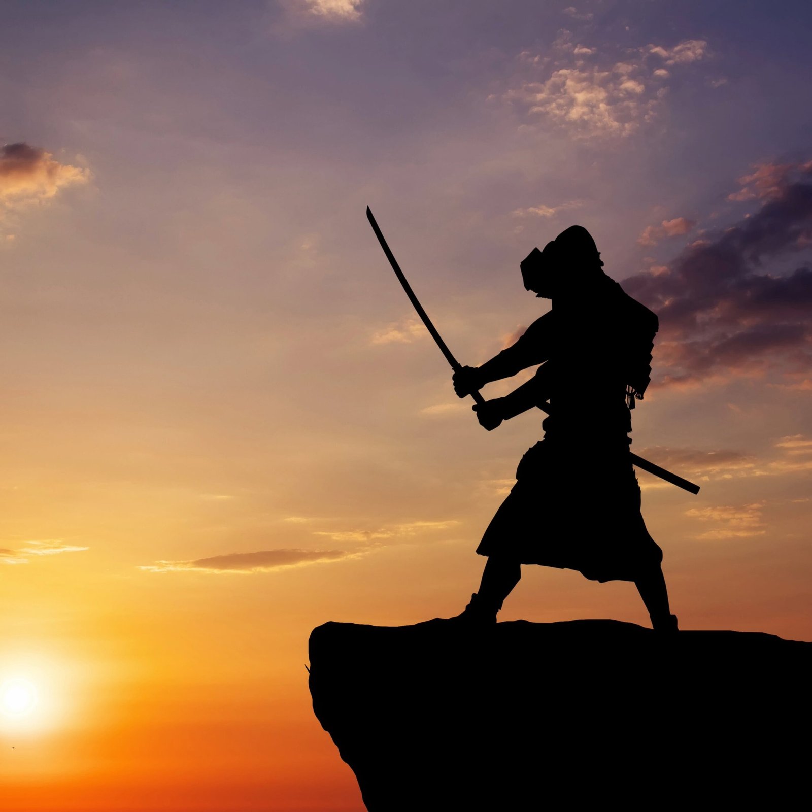 The Warrior Mindset The Warrior Mindset